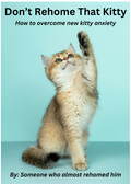 Don't Rehome That Kitty How to overcome new Kitty Anxiety